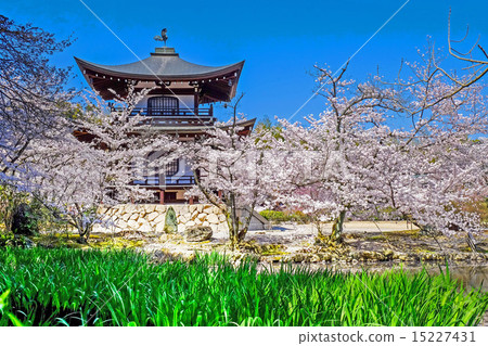 春天佛教寺廟Kannondo 春天佛教寺廟Kannondo 15227431
