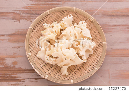 Horse mushrooms 15227470