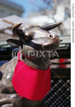 Yushima Tenman's stroked cattle Yushima Tenman's stroked cattle 15227821