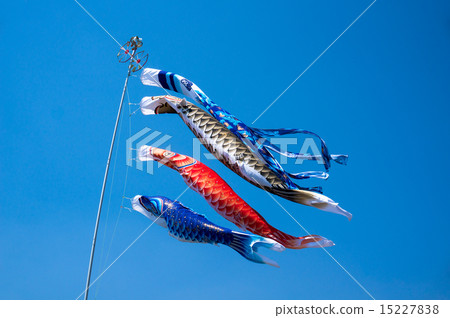 Carp streamer swimming energetically 15227838