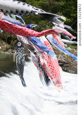 Carp streamer Carp streamer 15229872