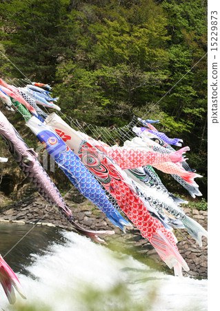 Carp streamer Carp streamer 15229873