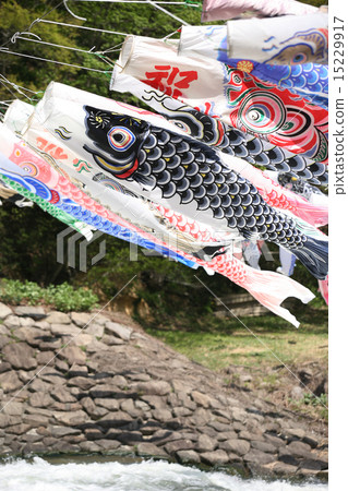 Carp streamer Carp streamer 15229917