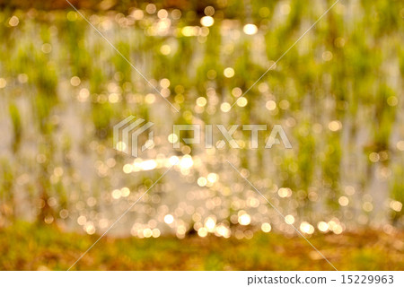 the sunshine was reflected on the water the sunshine was reflected on the water 15229963