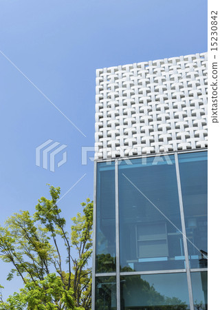 代官山的街角 15230842