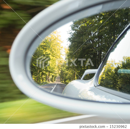 駕駛在直路的風景在森林裡 15230962