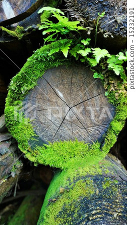 A log A log 15232191