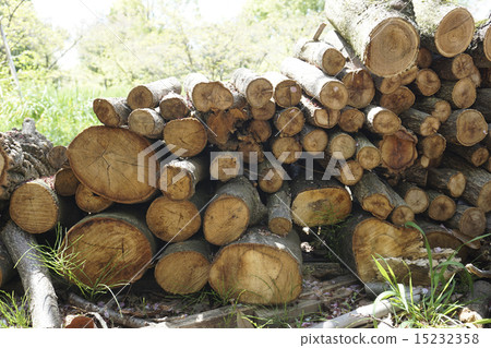 Chopping firewood 15232358