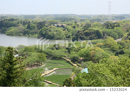 Sodegaura Park 15233024