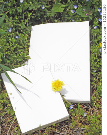 白書2書集 白書2書集 15233186