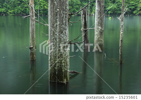 夏天的天然湖泊 15235601