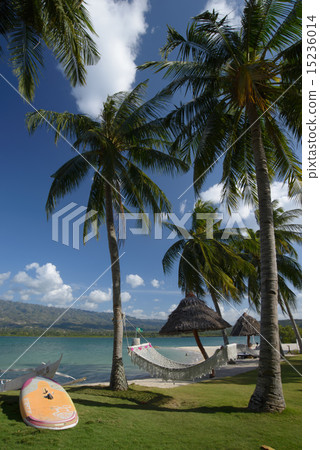 Philippine Badian Island Beach 15236014