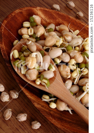 發芽的大豆沙拉 15236116