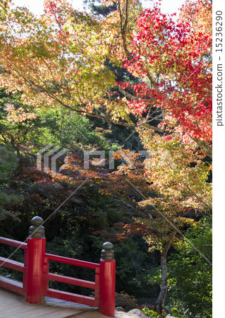 Miyajima Konoiya Park Miyajima Konoiya Park 15236290