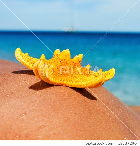 starfish on the back of a young man on the beach starfish on the back of a young man on the beach 15237290