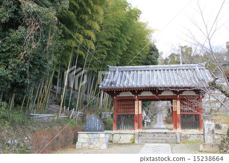 安扎寺 安扎寺 15238664