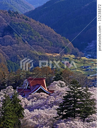 Spring of the Takano District Park 15238872
