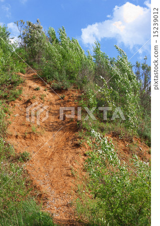 landslide in forest landslide in forest 15239012