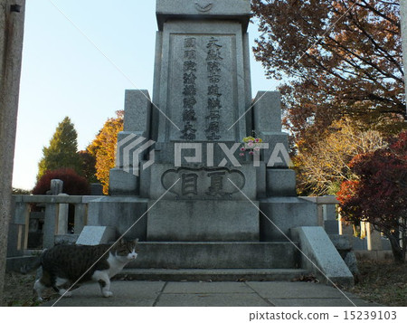 Natsume Soseki's grave # 2 15239103