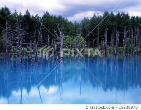 Blue Pond 1 15239970