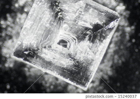 Photomicrograph of salt crystals Photomicrograph of salt crystals 15240037