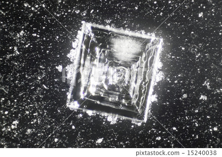 Photomicrograph of salt crystals 15240038