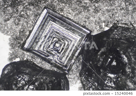 Photomicrograph of salt crystals 15240046