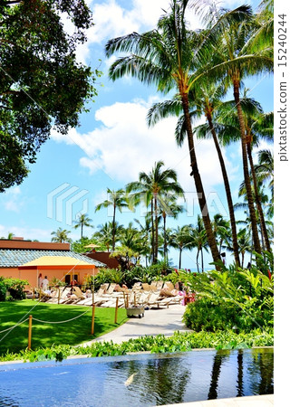 夏威夷的假期 15240244