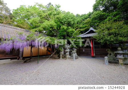 Fuji of Diva Shrine (Utahime Town) 15244928