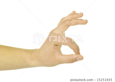 hand 15251935