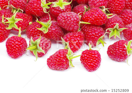 raspberry 15252809