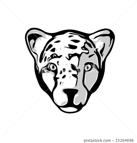 Head of Cheetah Head of Cheetah 15264696
