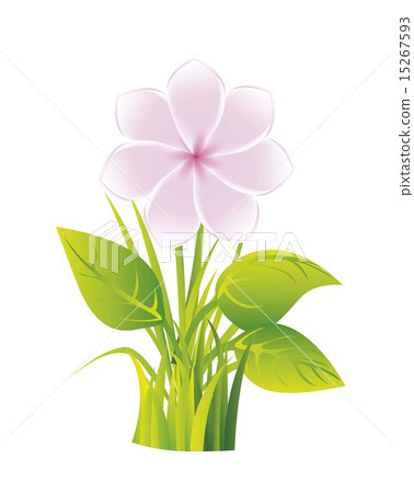 pink flower over vintage background vector pink flower over vintage background vector 15267593