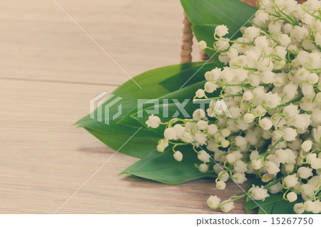 lilly of the valley posy 15267750