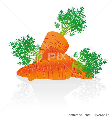 group of carrots issolated over white background 15268316