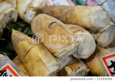 早上挖竹筍 15269046