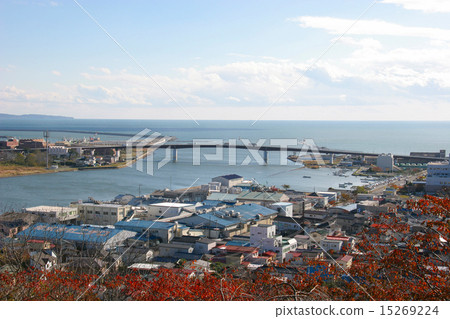 在地震前的石卷市老北上河河口 15269224