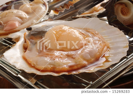 Scallop shells grilled 15269283