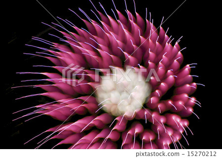 煙花（特殊攝影的抽象表達） 15270212