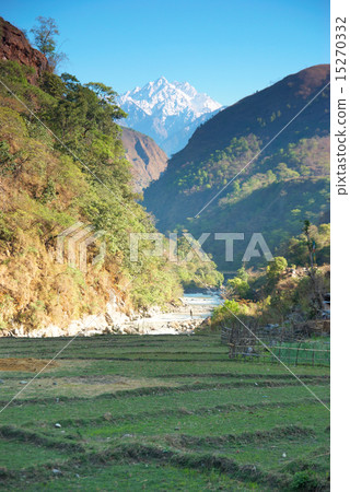 Rice fields in the himalayan hills Rice fields in the himalayan hills 15270332