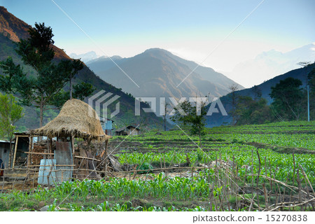 Rice fields in the himalayan hills Rice fields in the himalayan hills 15270838