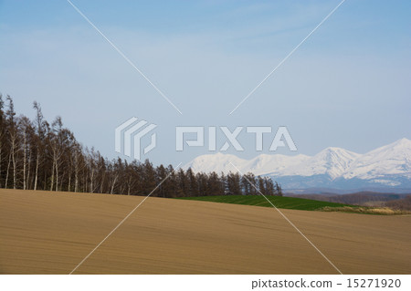 殘余雪和春天領域山 15271920