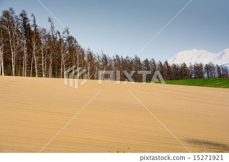 Mountain of residual snow and spring fields 15271921