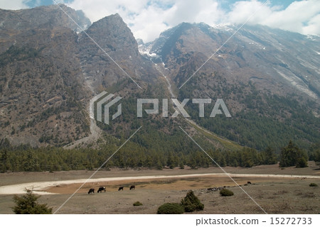 Tibetan mountain's landscape Tibetan mountain's landscape 15272733