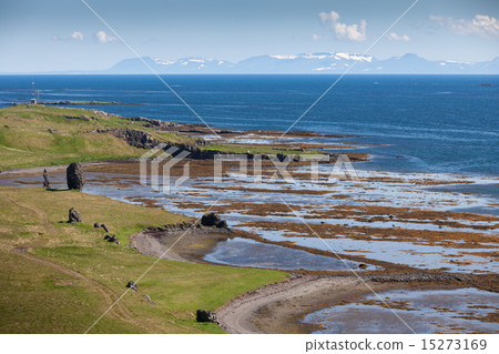 Atlantic ocean coast in Iceland 15273169