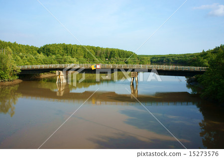Vietnamese, melaleuca forest, Can Gio bridge 15273576