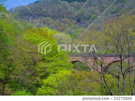 臼井通行證 15273609