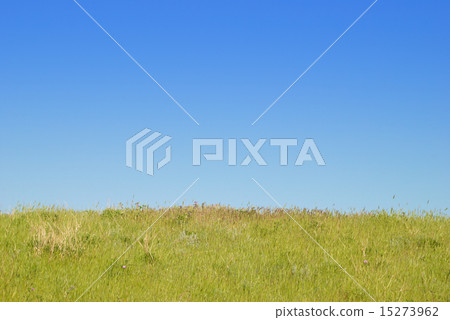 Green landscape with clouds. Green landscape with clouds. 15273962