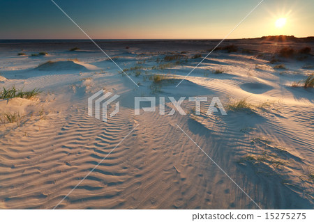 sunrise over sand dunes on coast sunrise over sand dunes on coast 15275275