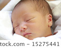 新生兒 15275441